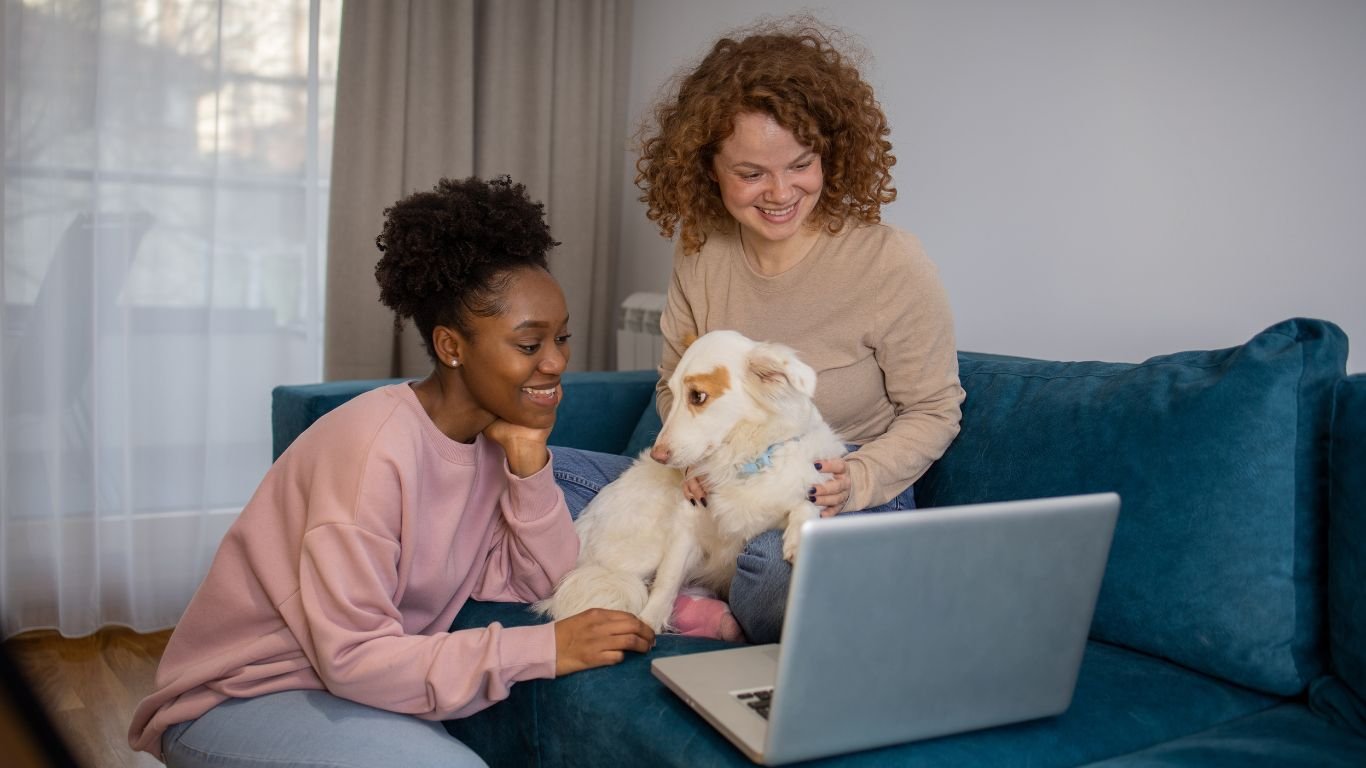 online vet appointment