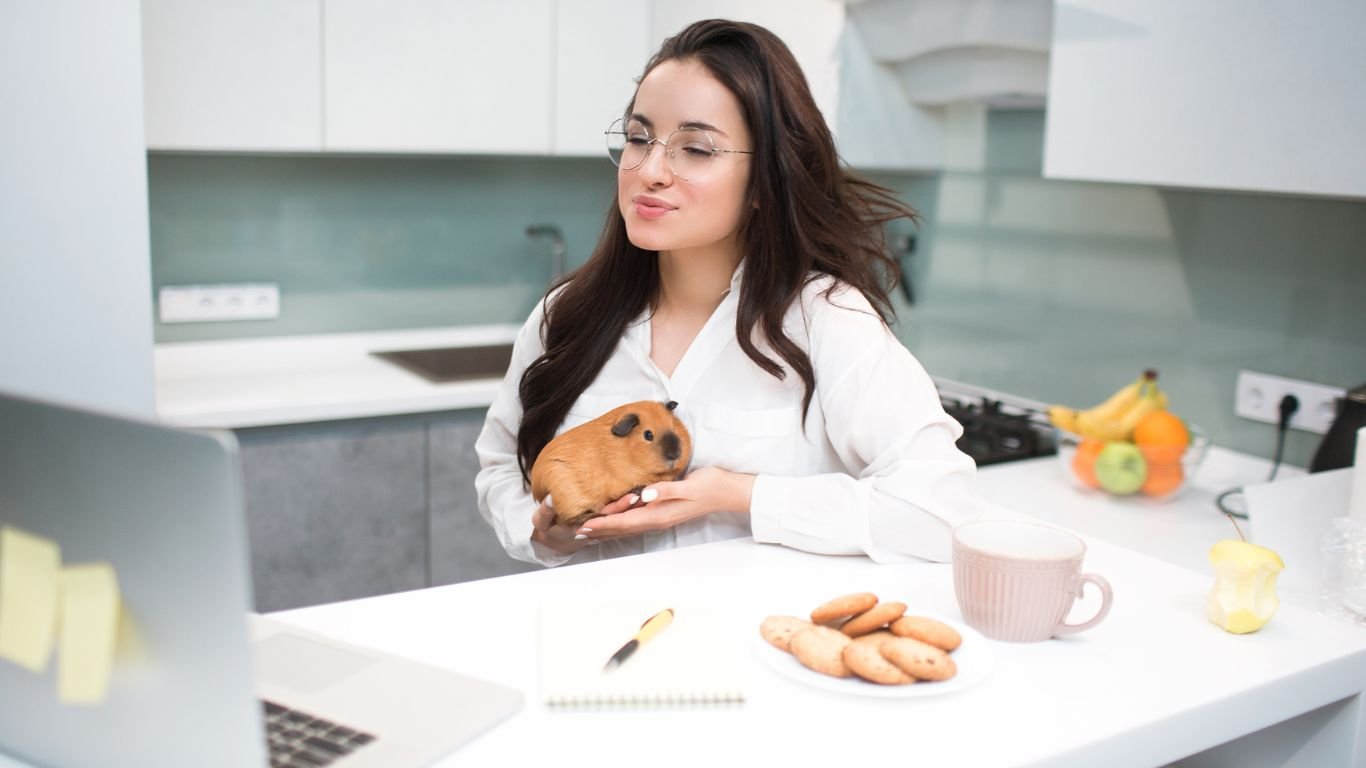 online veterinary online veterinary
