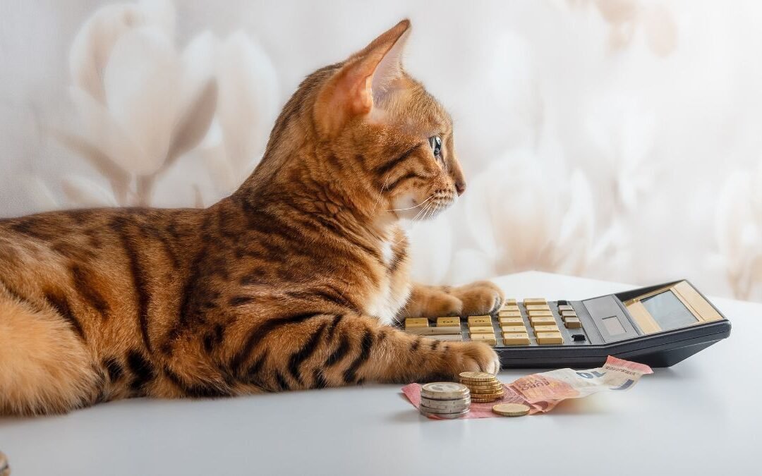 Cat Insurance Deductibles