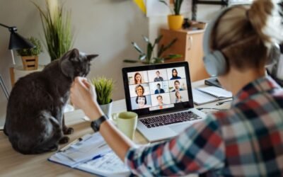 Best Cat Insurance Policy in 2024: Protecting Your Cat’s Health and Your Peace of Mind