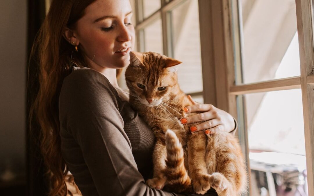 How Cat Insurance Works