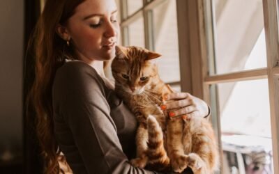 How Cat Insurance Works: A Step-by-Step Guide for Cat Owners