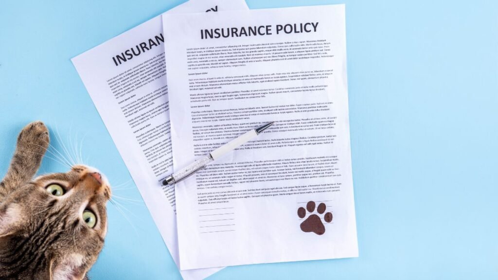 Cat Insurance Plans