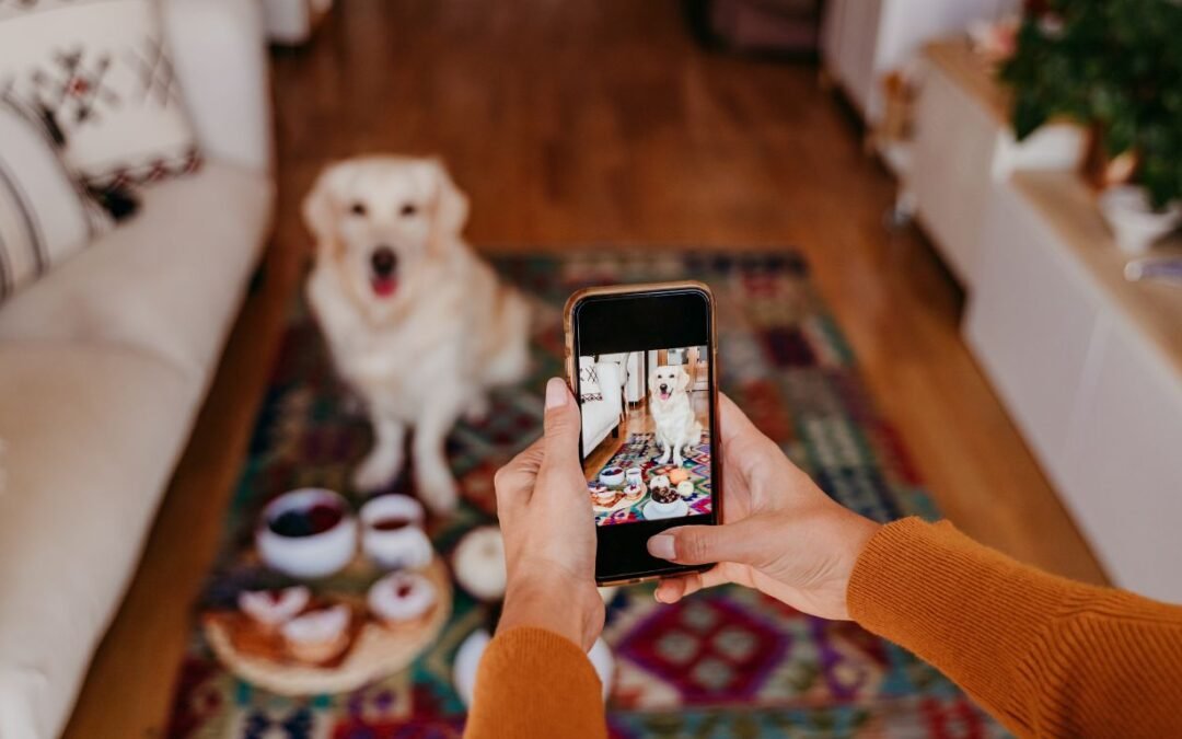 Understanding Pet Allergies: What Every Pet Owner Should Know