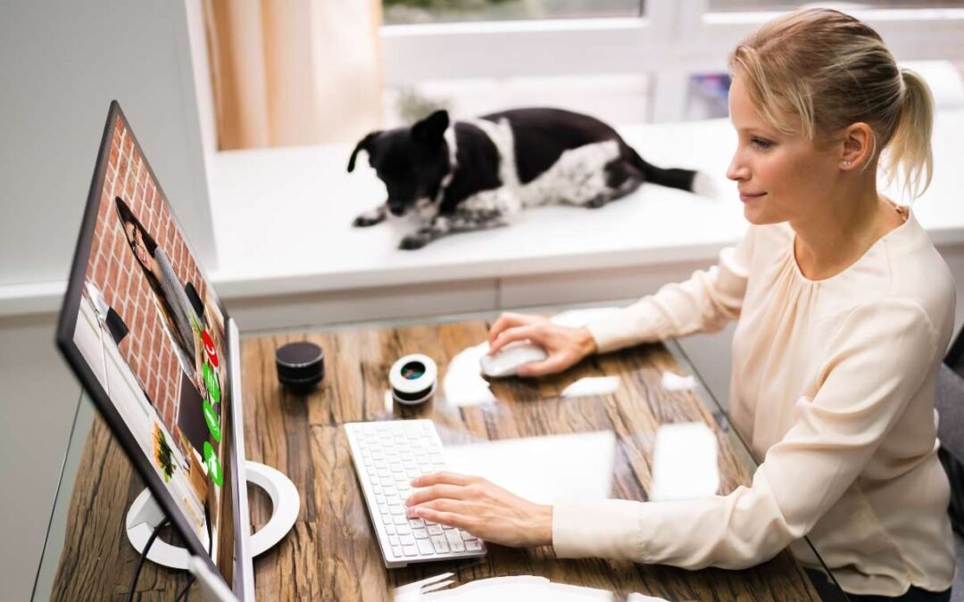 What is causing my pet’s urinary problems?