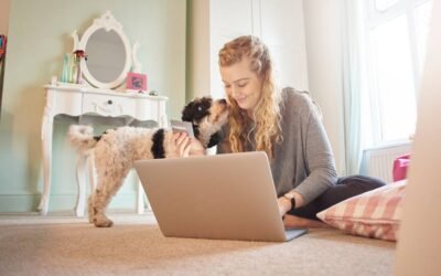 Prompt Online Medical Attention for Pets