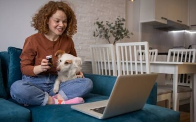 Stress-Free Pet Care Through Online Vet Consultation