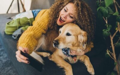 Access to Experts: How Online Vet Can Help