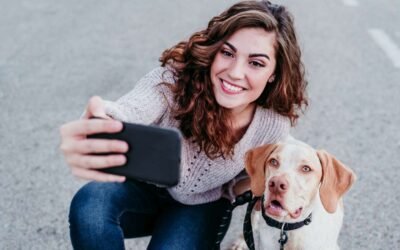 Secured Private Online Vet Consultation