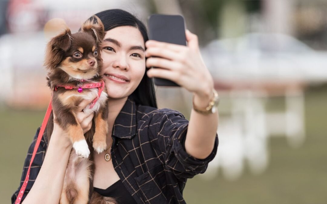 Enhancing Post-Surgery Pet Recovery with Online Vet Consultations