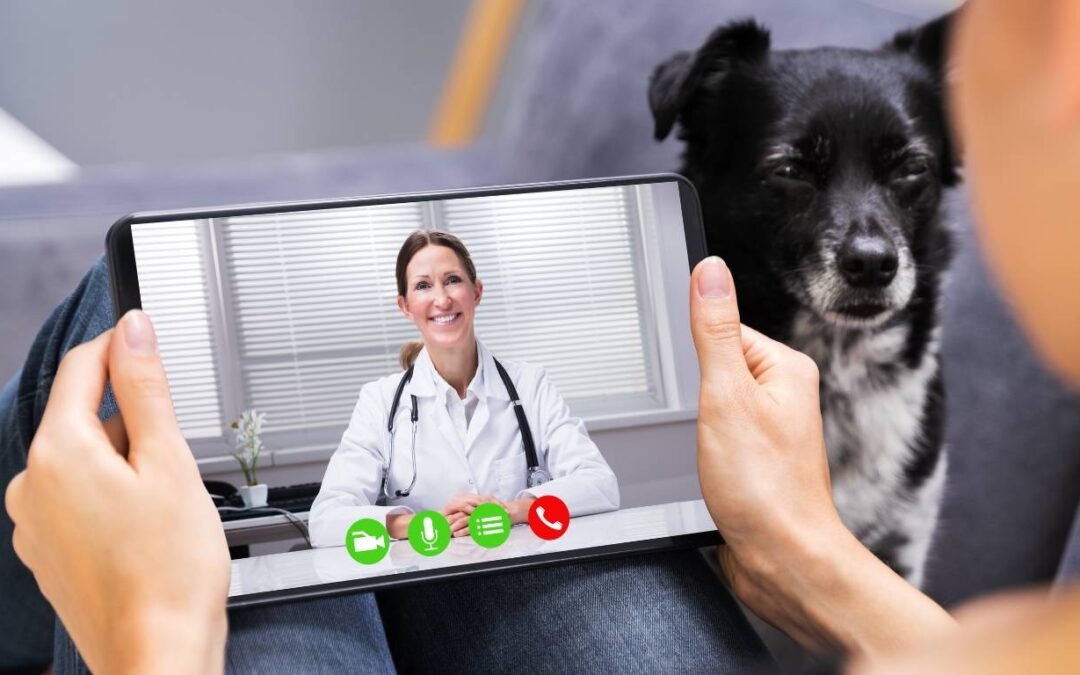 Revolutionizing Pet Care: The Role of Online Vet Consultations in Modern Veterinary Services