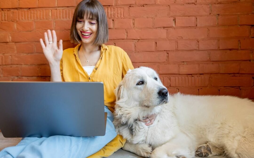 Navigating Pet Emergencies: When to Use Online Vet Consultations