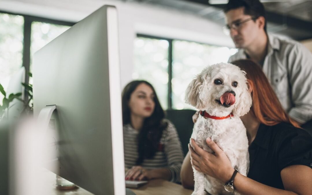 Understanding Pet Behavioral Issues: How Online Vet Consultations Can Transform Your Pet’s Life