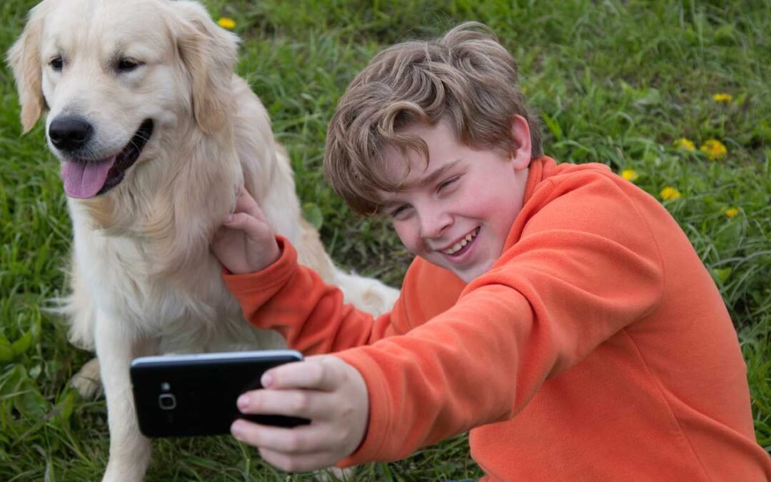 Online Vet: Your Go-To Guide for Pet Emergencies and Virtual Care