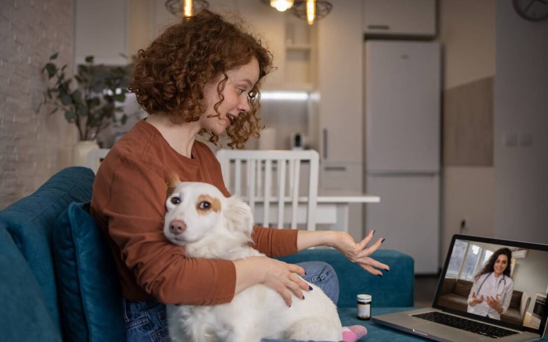 The Rise of Online Vet Consultations A Convenient Solution for Busy Professionals